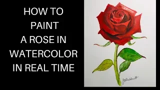 HOW TO PAINT A ROSE IN WATERCOLOR (  IN REAL TIME ) #watercolor #tutorials