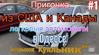 Пригонка из США в Одессе. Легковые авто на авторынке «Куяльник» (Яма)