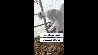 وباء جديد قد يكون أسوأ من جائحة كورونا بـ100 مرة