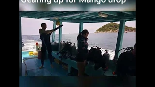 An afternoon of diving with Mojo Divers