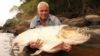 River Monsters in Hindi Full Episode || River Monsters in Hindi || River Monsters New Episodes ||