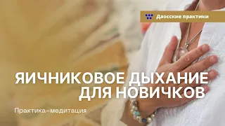 Даосская практика — яичниковое дыхание для начинающих