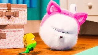 The Secret Life Of Pets 2 All Clips & Trailers (NEW 2019) HD