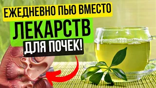 Почки Молодеют Чистятся и Выводятся Камни! Смотрите, как я ОЧИСТИЛА ПОЧКИ дома.Почки кричат о помощи