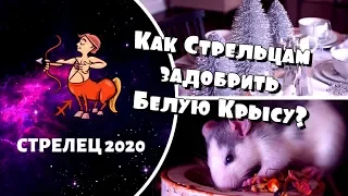 Как Стрельцам задобрить Белую Крысу?. 35plus