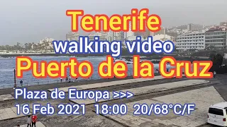 Walking from Plaza de Europa to Punta Brava in Puerto de la Cruz, Tenerife 16 Feb 2021