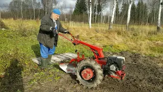 МТЗ-09Н.Анализ ошибок при регулировке плуга.Сажаем чеснок.