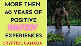 CC EPISODE 444 MORE THEN 60 YEARS OF POSITIVE BIGFOOT EXPERIENCES