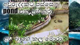 monster fish pond and normal pond clean l and big cat fish | The end|