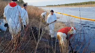 Lukoil Says It Cleaned Up Its Oil Spill. Russian Environmentalists Say The Contamination Continues