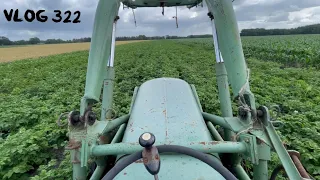 Farmvlog #322 | Bau die Spritze an - Die Käfer kommen