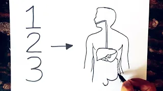How to draw Human digestive system diagram class 10 // Science diagram