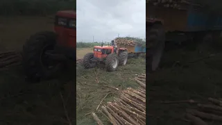 #DO WORK AS A FARMER#tractor #welling #Overload #sugarcane #Village pasanga life