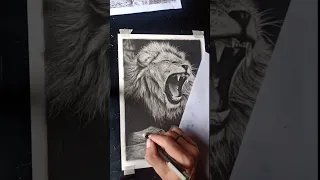 Realistic Lion Sketch | Speed Drawing - #shorts #art #realism #trending