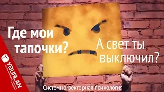 Где мои тапочки? А свет ты выключил? Системно-векторная психология. Юрий Бурлан