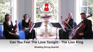 Can You Feel The Love Tonight sung by Elton John from The Lion King - Wedding String Quartet