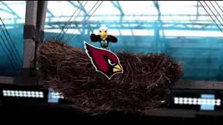 Protect the Nest vs Eagles