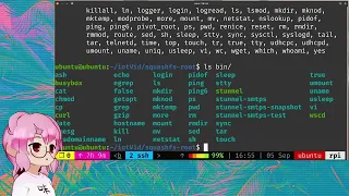 IoT Hacking - Firmware Analysis and Emulation