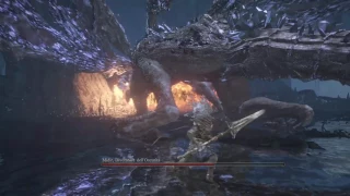 Nameless King vs Darkeater Midir