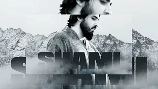 SHAMI - Моя по любому