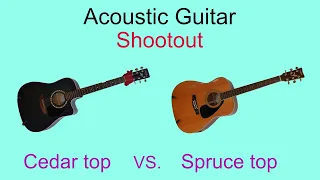 Cedar top vs. Spruce top (Acoustic Guitar shootout)