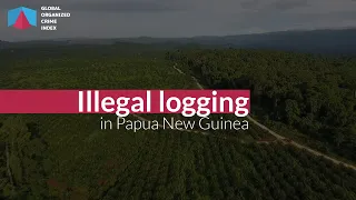 Papua New Guinea & illegal logging