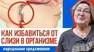 КАК ИЗБАВИТЬСЯ ОТ СЛИЗИ В ОРГАНИЗМЕ