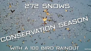 SNOW GOOSE CONSERVATION SEASON EPIC HUNTS 2023