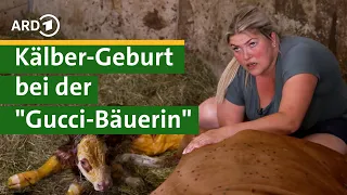 Abkalbe-Alarm! Kalb wird geboren bei “Gucci Bäuerin” Nina – Hofgeschichten #13 | Unser Land | BR