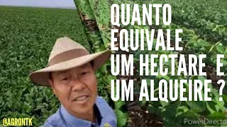 QUANTO EQUIVALE 1 HECTARE E 1 ALQUEIRE ?