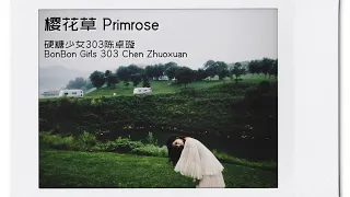 樱花草 Primrose - 陈卓璇 Chen Zhuoxuan | Chinese/Pinyin/English Lyrics