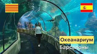 Самый красивый океанариум в Европе, Барселона, Испания | Barcelona Aquarium