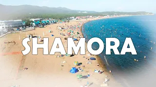Главный пляж Владивостока - Шамора | Shamora beach 4К