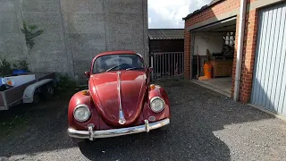 vw kever