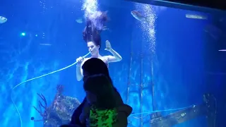 Mertailors mermaid aquarium (2)