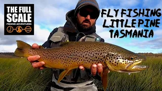 Shore Based Fly Fishing | Little Pine Lagoon Tasmania | The Full Scale