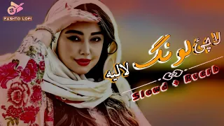 Lachi Lawang (Slowed + Reverb) Pashto News Song 2022