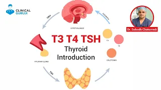 Thyroid Introduction (T3, T4, TSH)