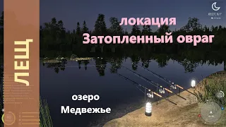 Русская рыбалка 4 - озеро Медвежье - Лещ на точке амура и карпа