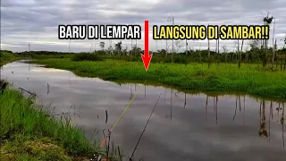 Tercium bau amisnya ke mana-mana,,Penghuni danau langsung muncul..!!