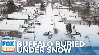Drone Video Shows Buffalo Buried Under Feet Of Snow After Blizzard