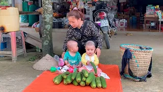 Single mom - Harvesting luffa to sell at the market to raise 3 children, life is difficult