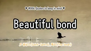 #006. Beautiful bond ♬ 생상스(Saint-Saëns)_백조(The Swan)