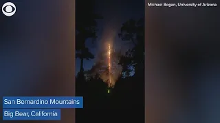 Tree struck by lightning, causing a fiery split