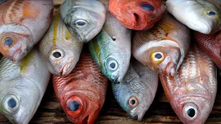 12 Pescados Baratos Que No Deberías Comer Nunca