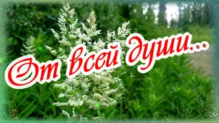 От всей души желаю счастья! Позитивчик