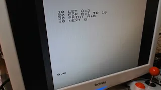 ZX81 BASIC vs assembler