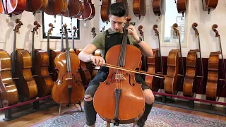 Brand spotlight: Chamber cellos