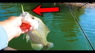 USE THIS LURE To CATCH LOADS Of CRAPPIE ! ! !