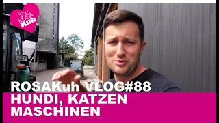 ROSA Kuh Vlog#88 Hundi, Katzen und Maschinen #Rosakuh #Hofmolkerei #Farmvlog #megaregional